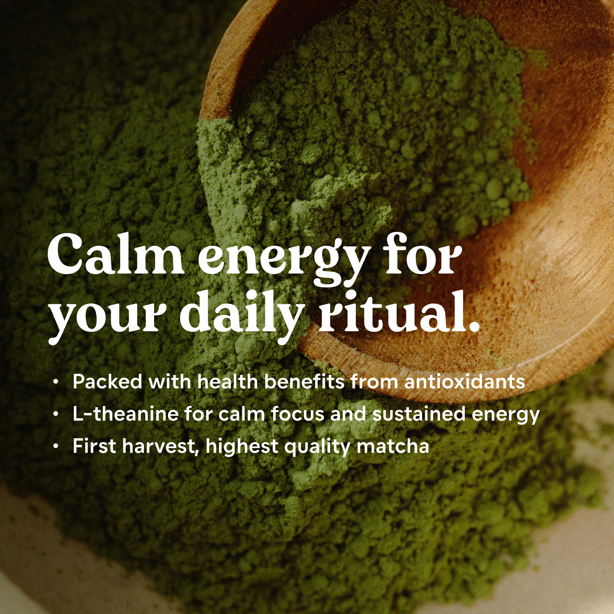 Matcha Variety Pack