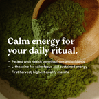 Organic Ceremonial Matcha Green Tea Powder
